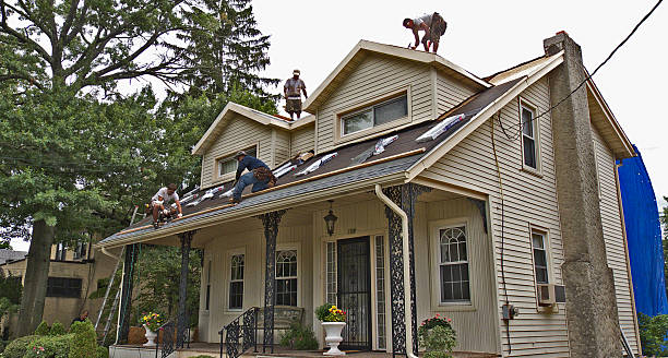 Roof Gutter Cleaning in Farr West, UT