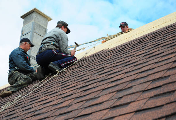 Quick and Trustworthy Emergency Roof Repair Services in Farr West, UT